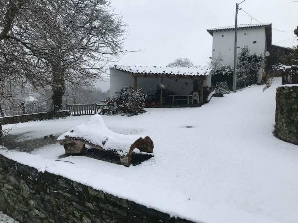 Casa Do Pomar Guest House Braganca Exterior photo